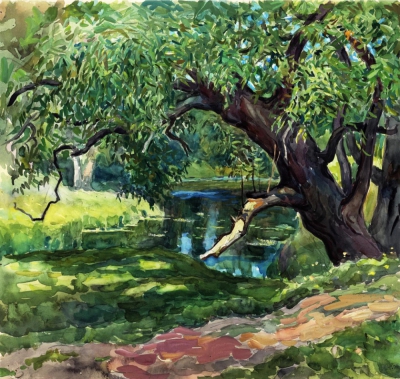 Рисунок «Ива на берегу реки»
