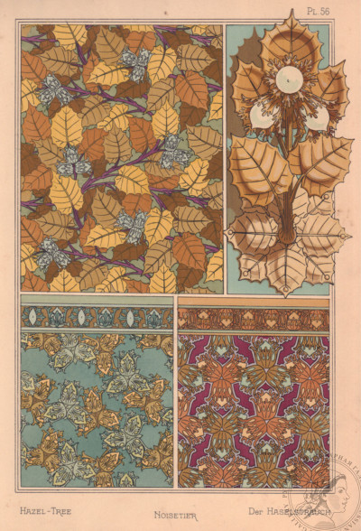 Литография «Ореховое дерево» (An Oak.  Chène. Die Eiche) художник Эжен Самюэль Грассе