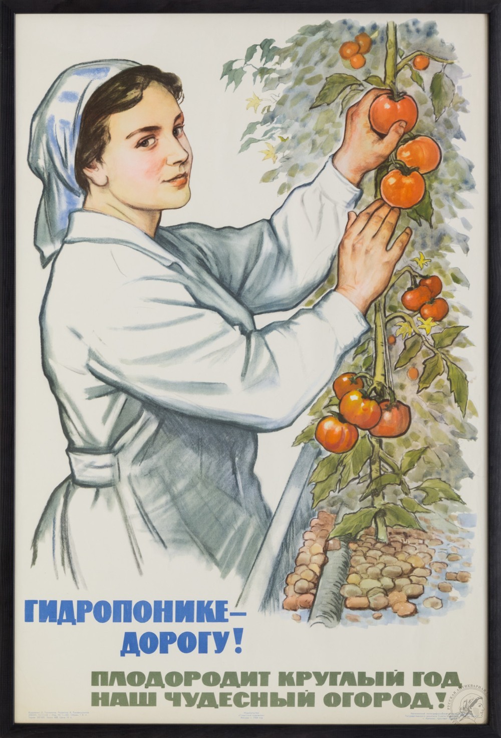 Плакат «Гидропонике — дорогу! Плодородит круглый год наш чудесный огород!»