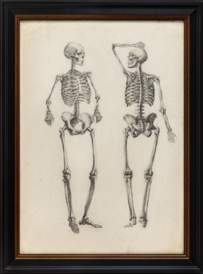 Рисунок «Скелет»