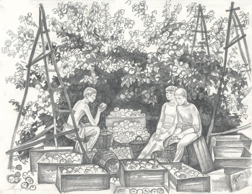 Рисунок «Сбор яблок»